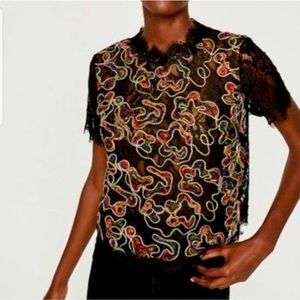 Zara Trafaluc Black Lace Embroidered Front Cropped Top